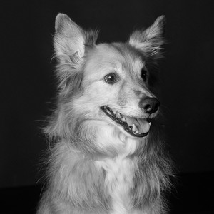 Fundraising Page: Yost Lloyd